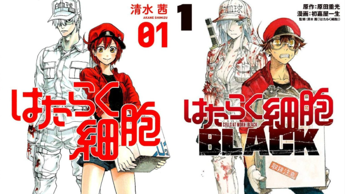 Hataraku saibou 2: confirman cantidad de capítulos para segunda temporada, Animes